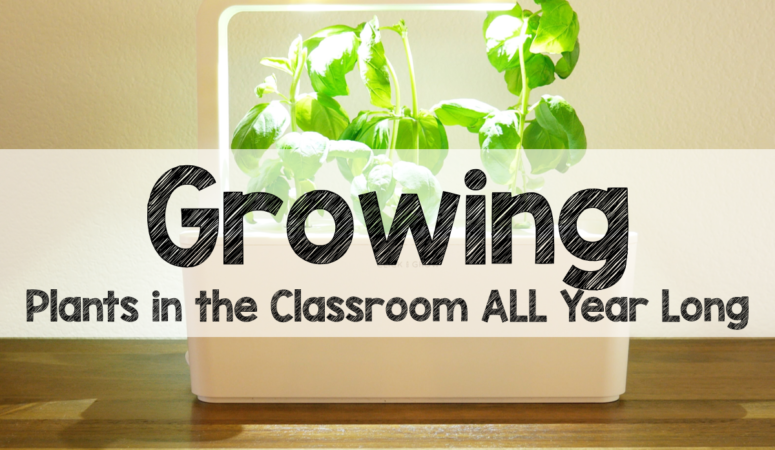 Growing Plants in the Classroom…The FUN Way!