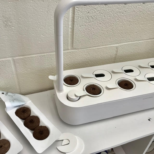Click and Grow: The Perfect Classroom Growing System