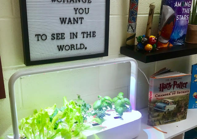Click and Grow: The Perfect Classroom Growing System