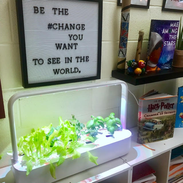 Click and Grow: The Perfect Classroom Growing System