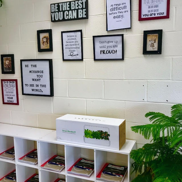 Click and Grow: The Perfect Classroom Growing System