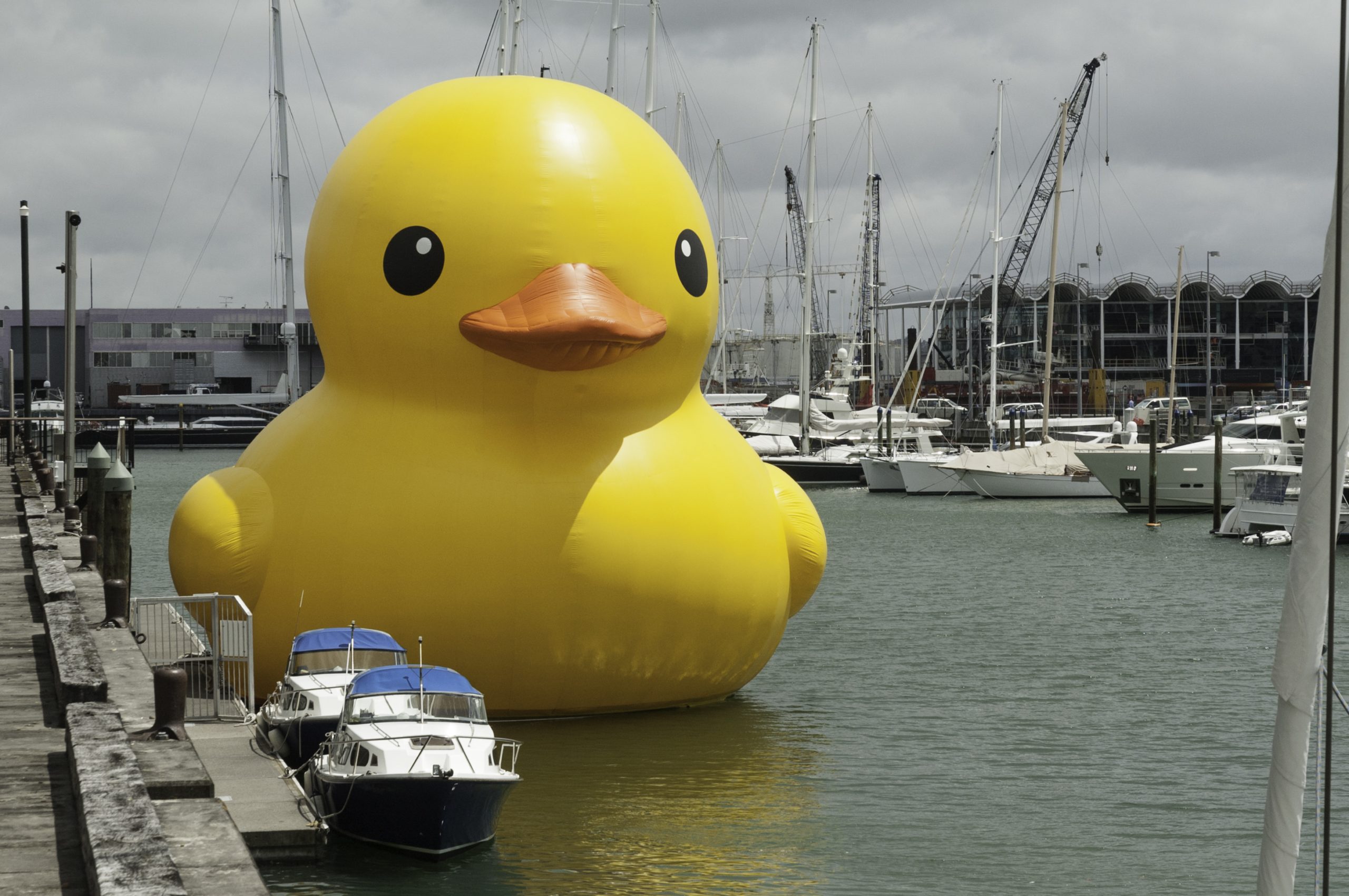 History of the Rubber Ducky - Mr. Mault's Marketplace